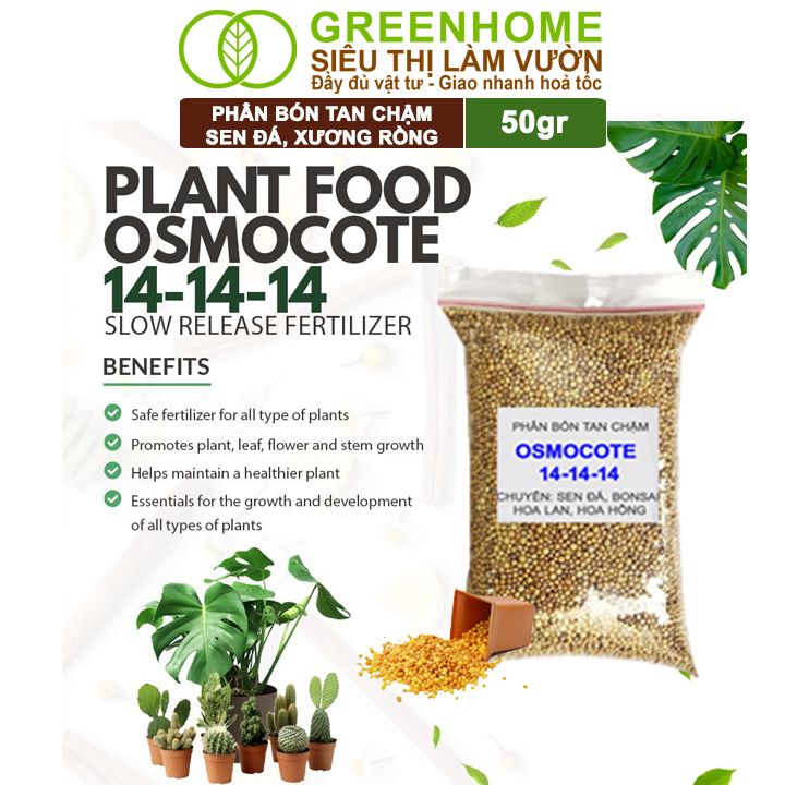 Phân Tan Chậm Greenhome, Oscomote, Bao 50gr, Chuyên Sen Đá, Hoa Hồng, Xương Rồng, Bonsai, GIúp Sen Cứng, Giữ Form, Lên Màu