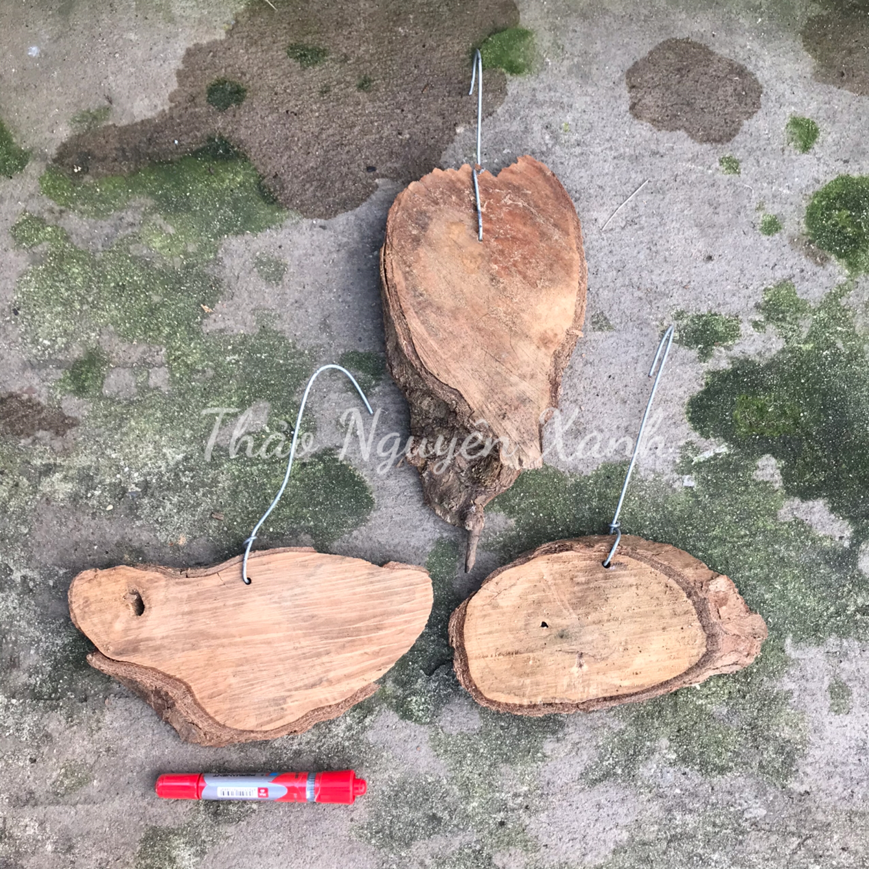 Bảng Gỗ Vú Sữa Có Móc Treo