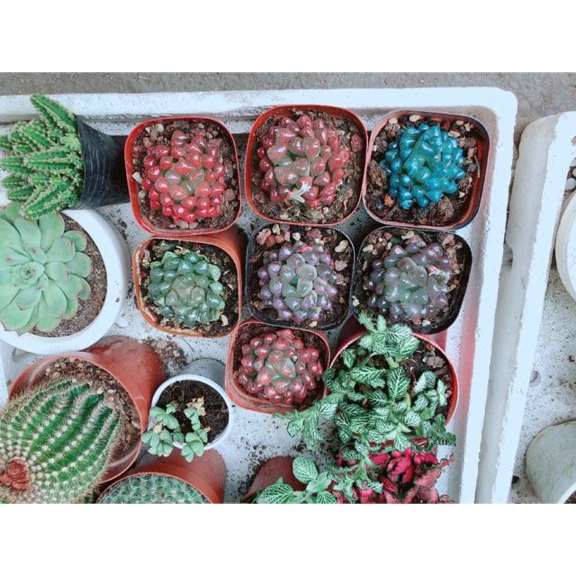 Kim cương dạ quang