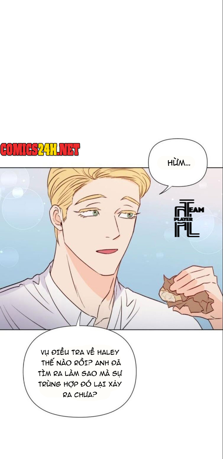 cái giá của sự nổi tiếng chapter 17 31