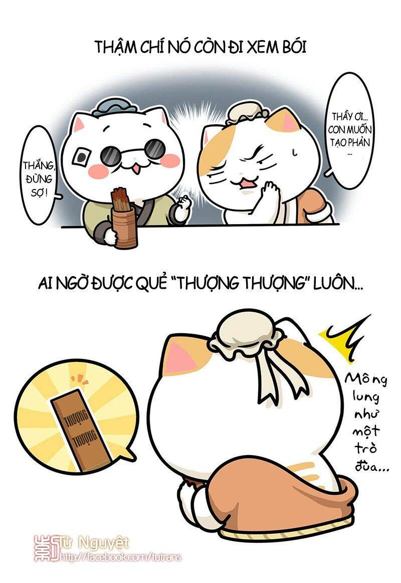 nếu lịch sử là một bầy mèo chapter 28 12