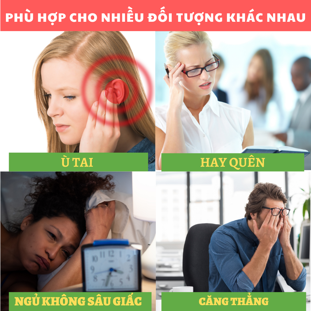 GINKGO BILOBA - Viên uống hỗ trợ chức năng não bộ, Giúp tăng cường lưu thông máu não, Giúp an thần, hỗ trợ điều trị rối loạn giấc ngủ