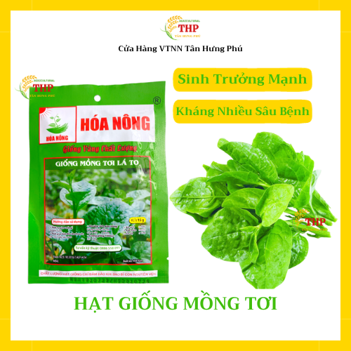 Hạt giống Mồng Tơi Lá To | Hạt Giống | gói 15gr