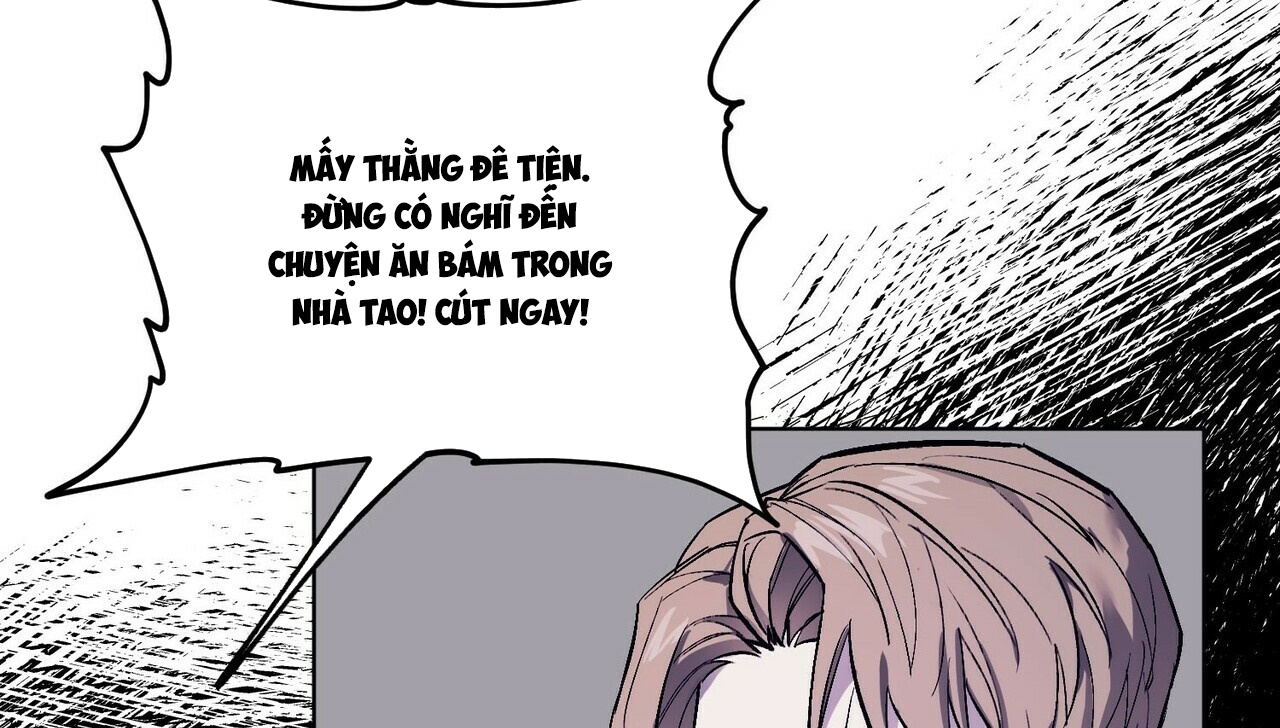 chàng dâu nhà họ kang chapter 2 98