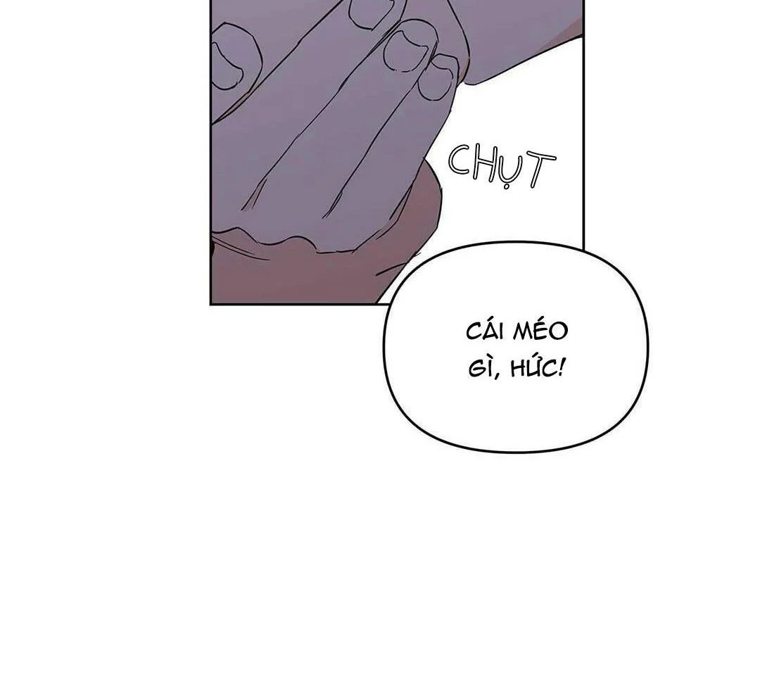 guide cấp b chapter 16 124