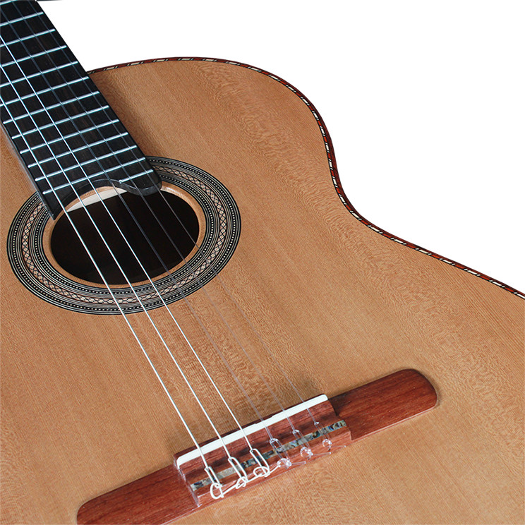 Đàn Guitar Swallow Classic C750