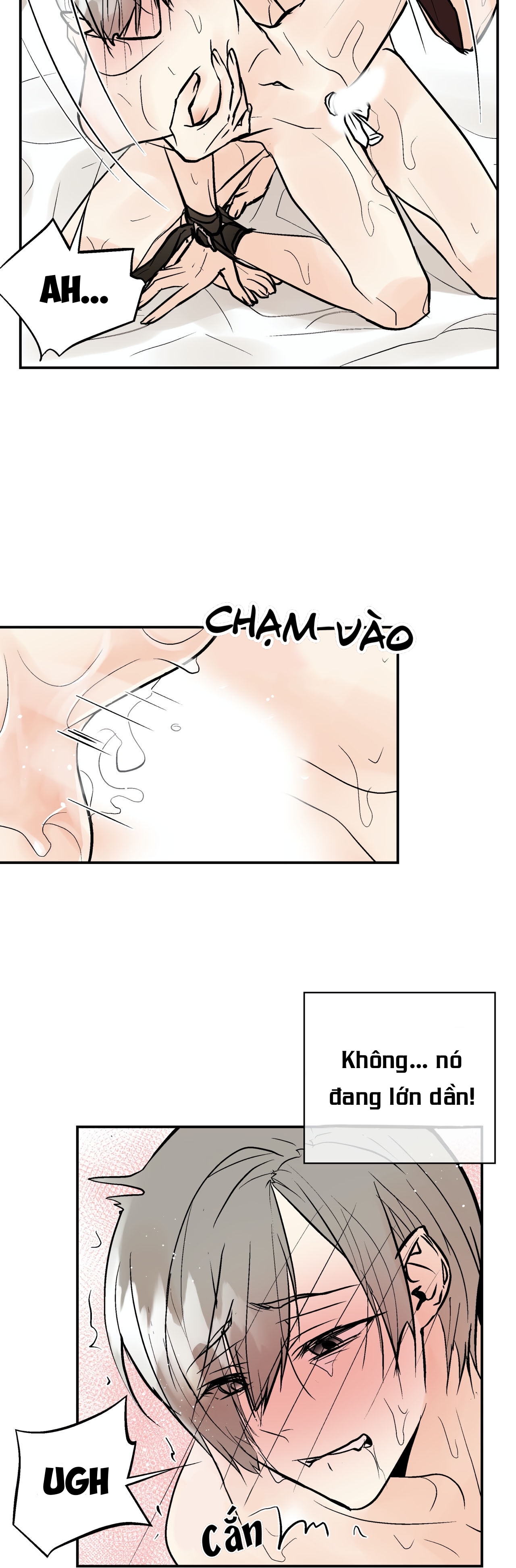 trú ẩn - haven chapter 16 15