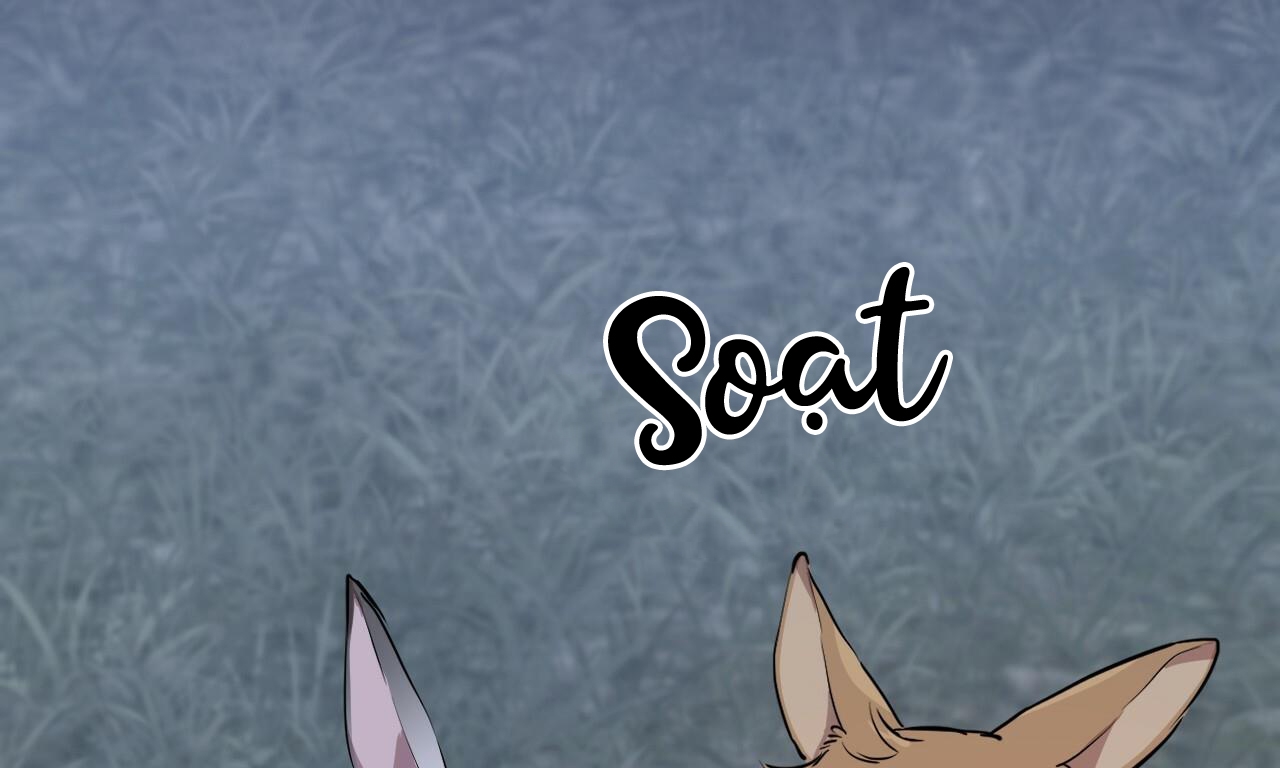 đàn thỏ của habibi chapter 31 230