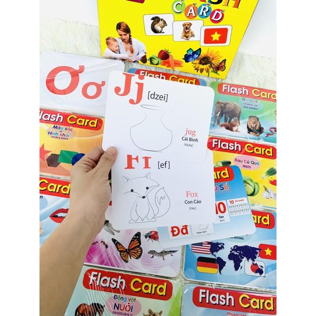 Bộ Thẻ Học Thông Minh 18 Chủ Đề loại to song ngữ tiếng Anh loại chuẩn Glenn Doman Flashcard cho bé từ 0-6 tuổi