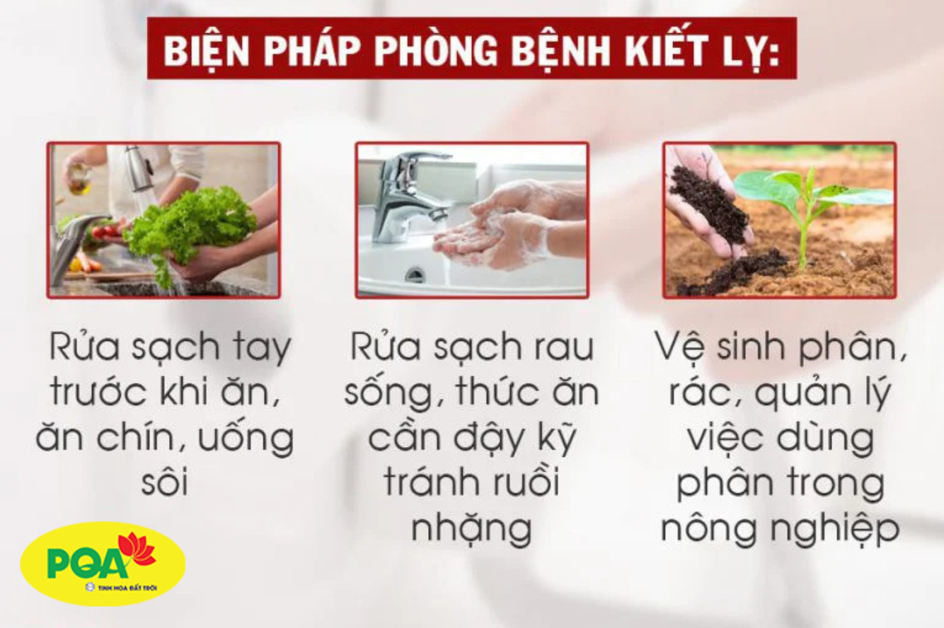 PQA Hoàng Liên là dược phẩm thảo dược có tác dụng ngăn ngừa co thắt ruột, đau bụng do lỵ dùng cho người bị rối loạn tiêu hóa, đau quặn bụng mót rặn.