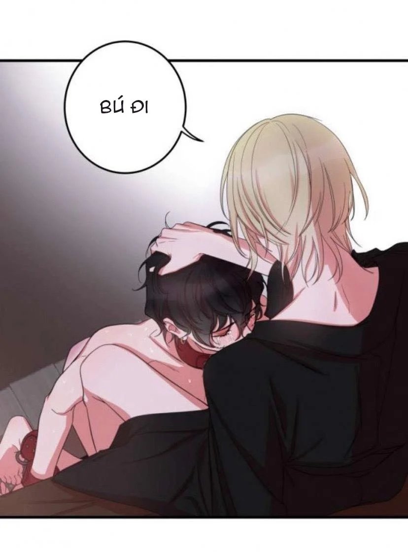 người tình dâm đãng của tôi chapter 4 35