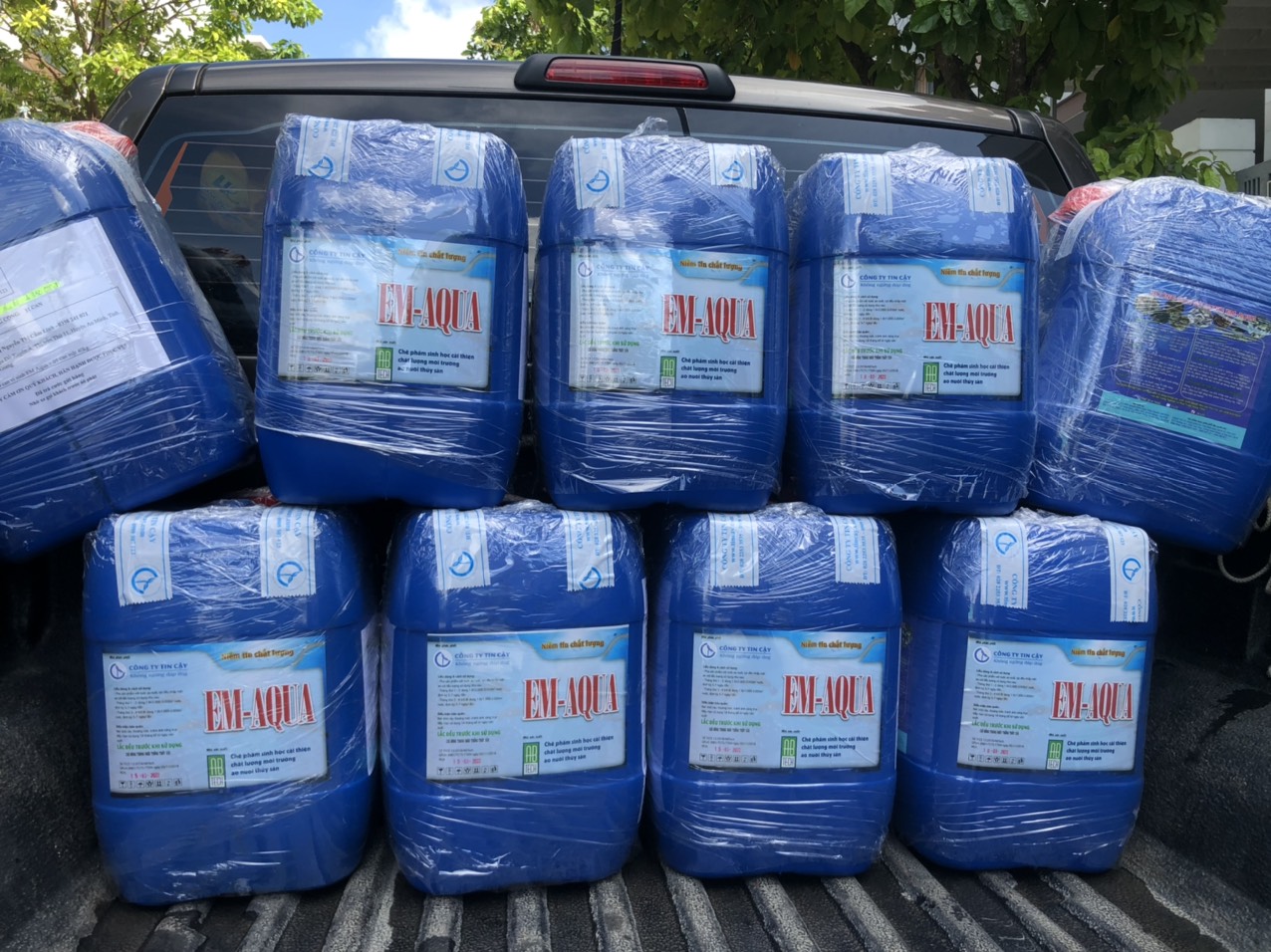 Chế Phẩm Sinh học Em Aqua chuyên xử lý nước, kiểm soát tảo, cải tạo màu nước, dùng trong thủy sản