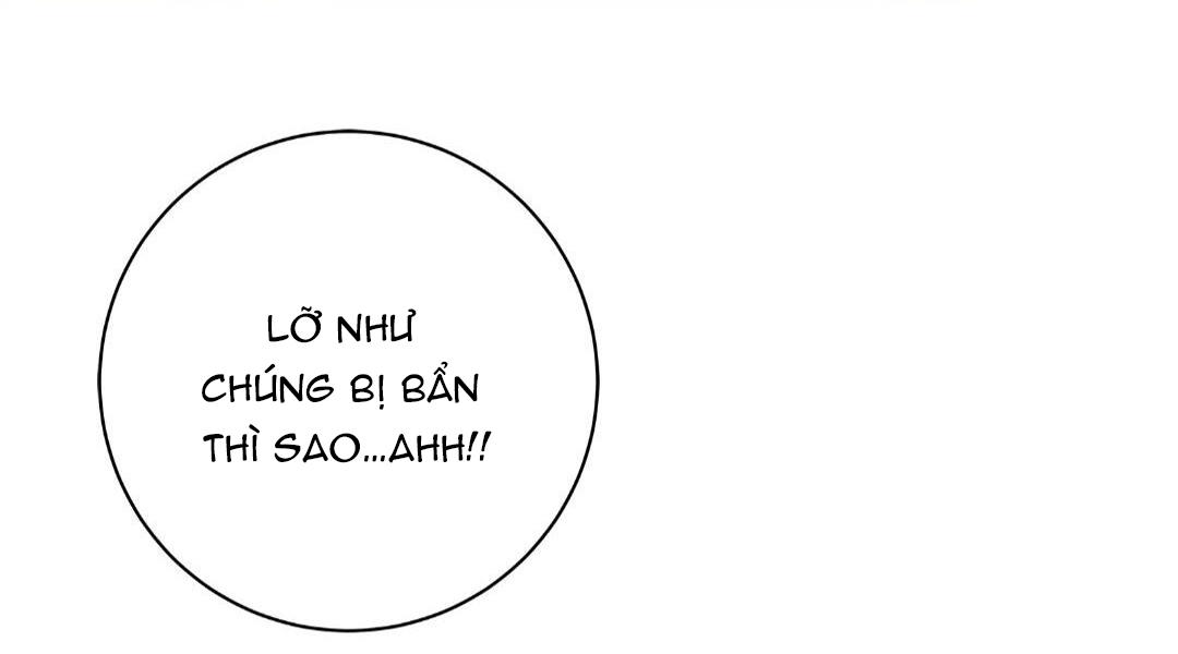 hạnh phúc trọn vẹn chapter 20 92