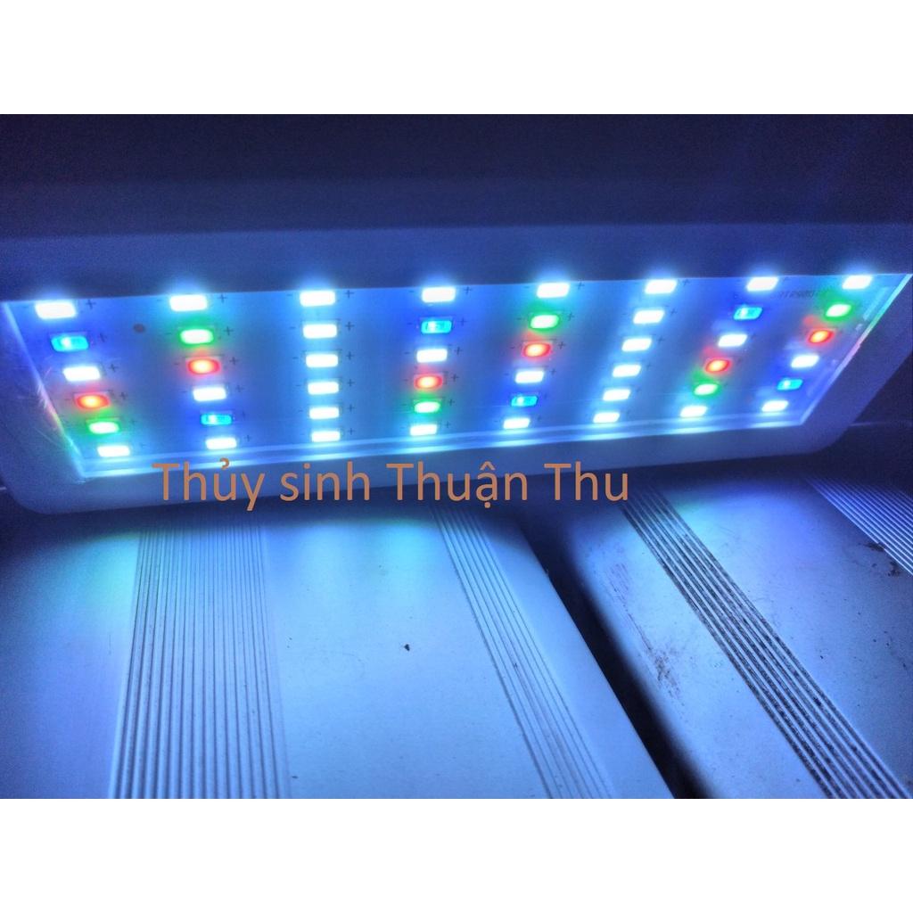 Đèn led WRGB 6 hàng siêu sáng thế hệ mới - đèn led thuỷ sinh các size