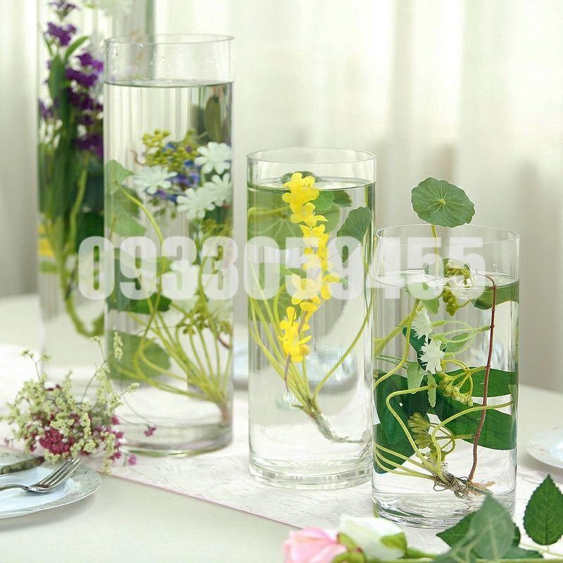 Bình bông lọ hoa thủy tinh trụ - bể cá mini, chậu cây thủy sinh