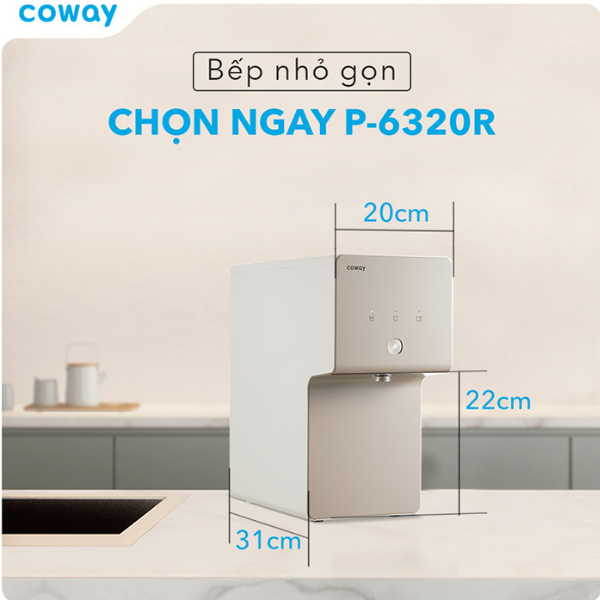 Máy lọc nước Coway Cinnamon P-6320R - Hàng chính hãng