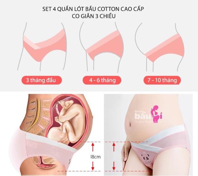 Sét 4 quần quần lót bầu cạp chéo cotton siêu đáng yêu