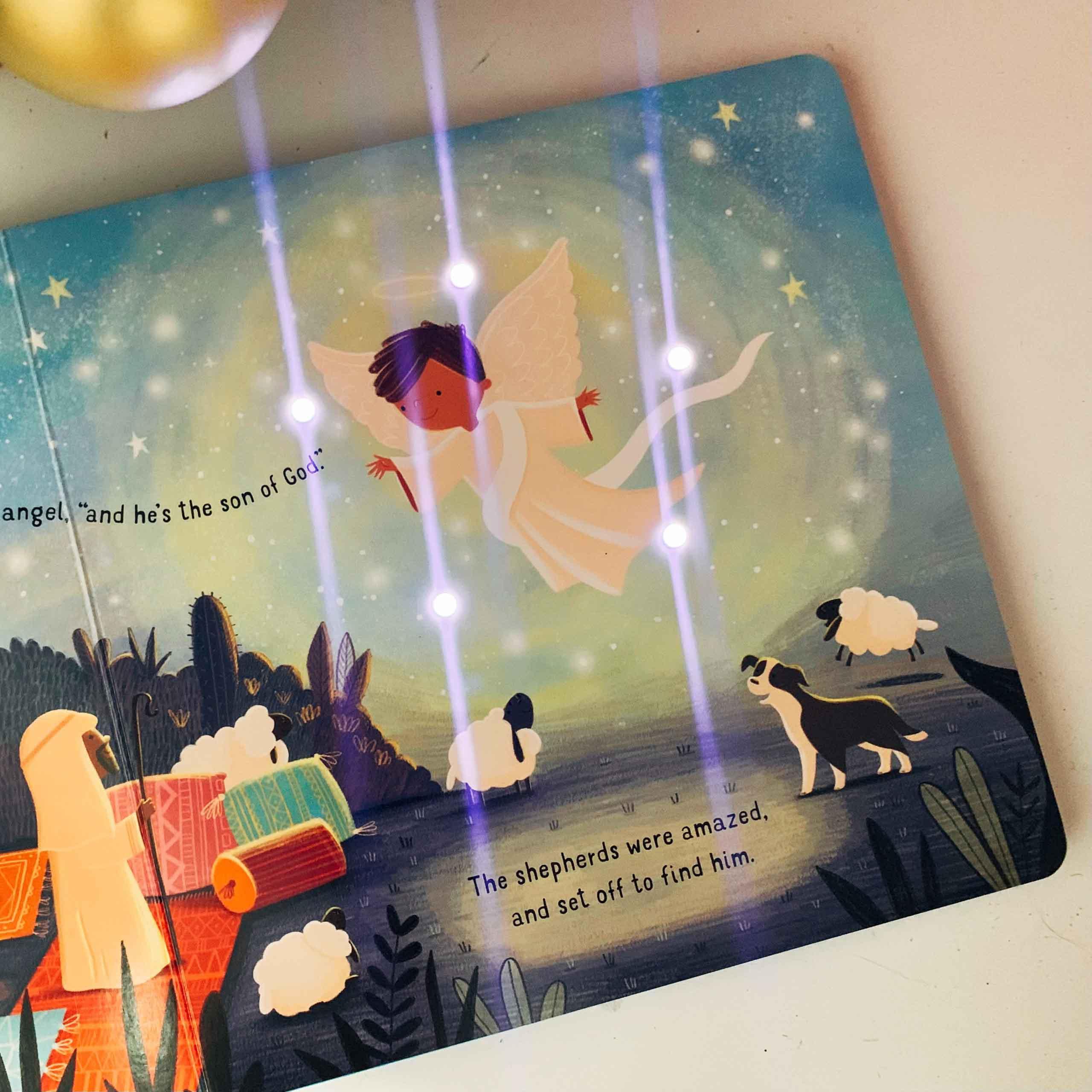 The Twinkly Twinkly Nativity Book