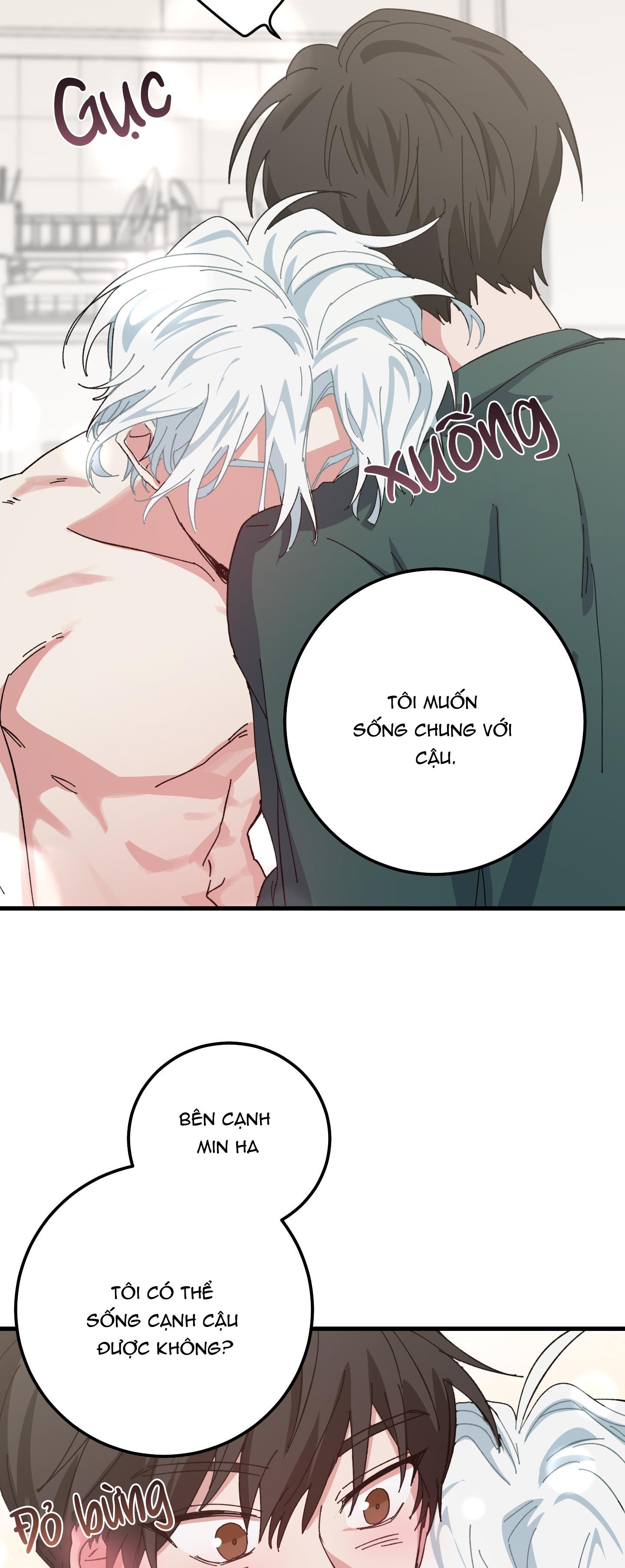 yêu tôi đi, thần hộ mệnh chapter 3 29