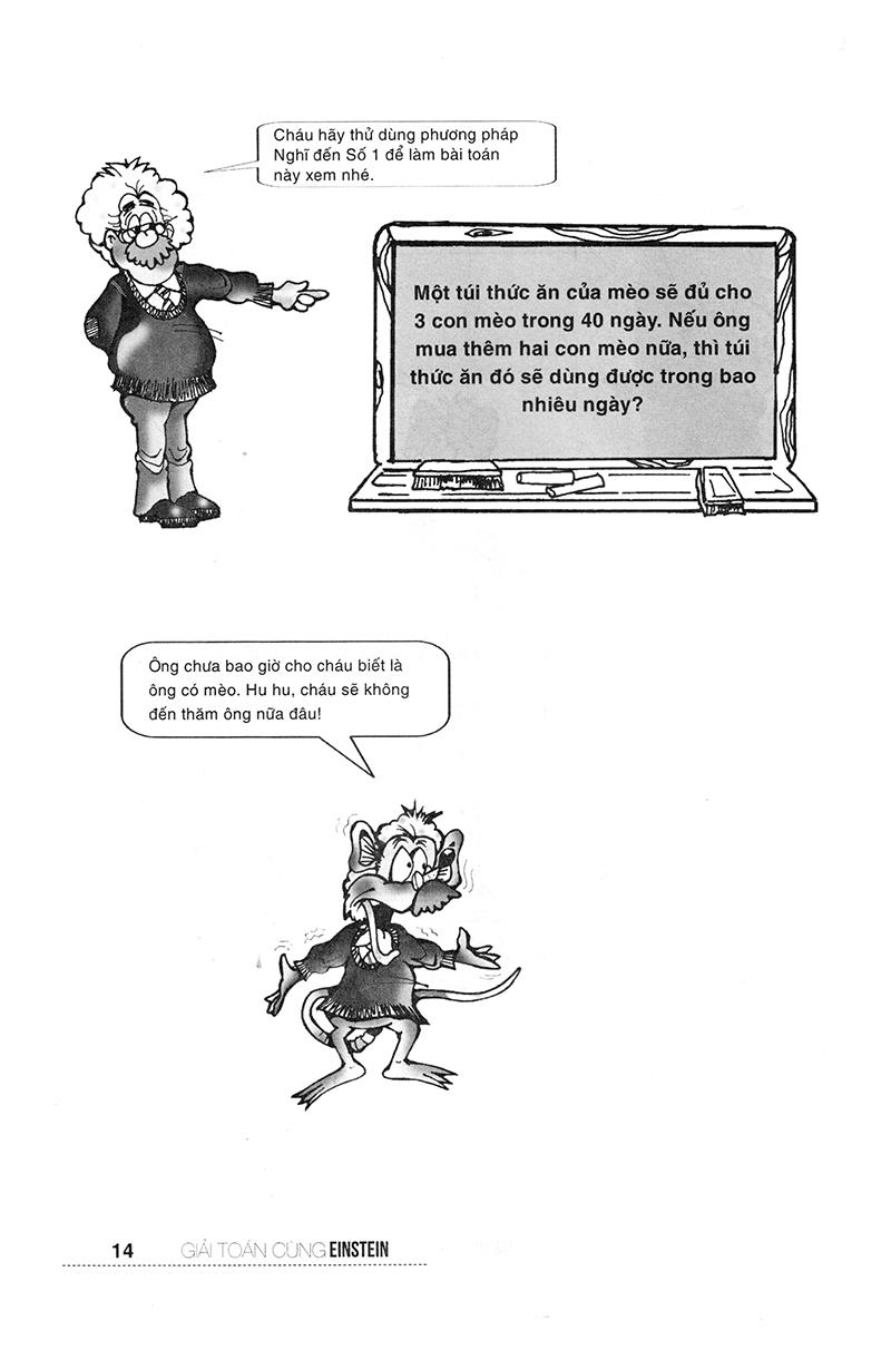 Giải Toán Cùng Einstein (Tái Bản 2017)