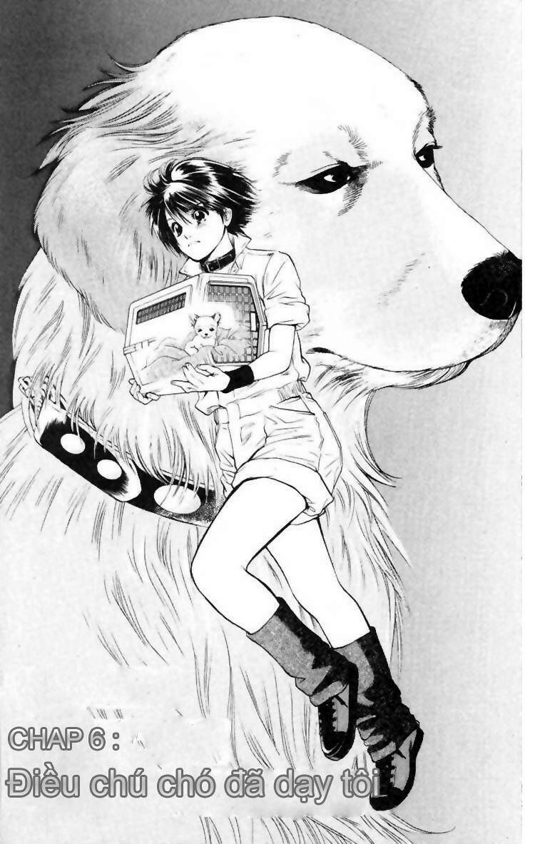 cô nàng yêu chó chapter 6 1