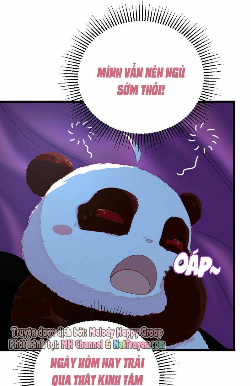 thiên thần gấu trúc muốn được ôm chapter 16 13