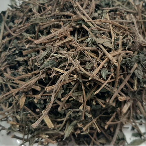 Cây dòi thân tím (Cây thuốc dòi - Cây bọ mắm - Cây dòi tím) - Sản phẩm khô làm trà - Gói 1kg