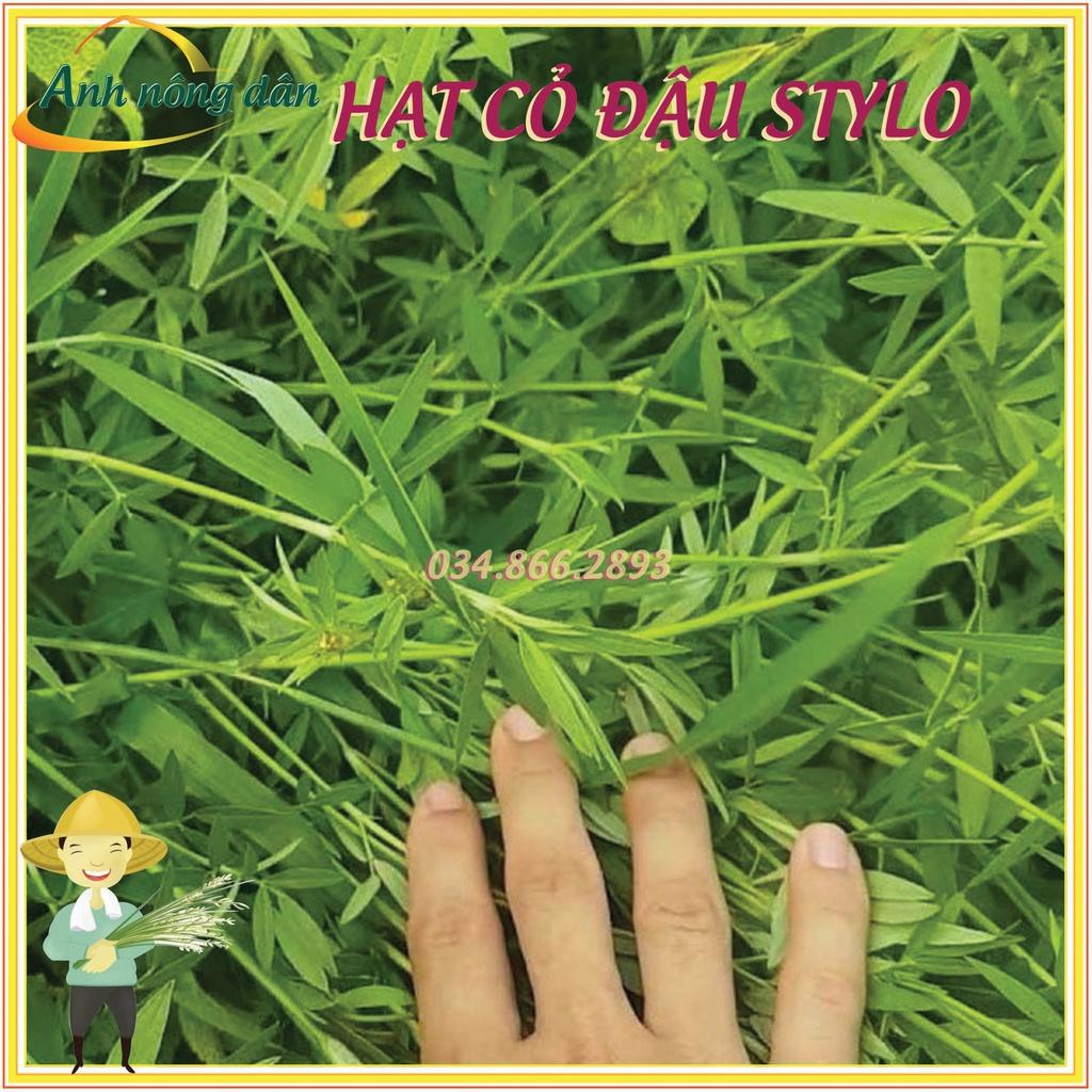 Gói 1kg Hạt giống cỏ đậu stylo giàu dinh dưỡng dùng cho chăn nuôi - Anh nông dân chính hiệu