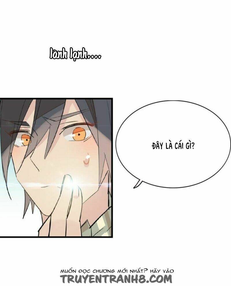 sư phụ lại trêu chọc ta chapter 15 7