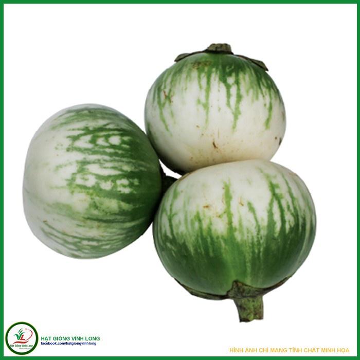 Hạt Giống Cà Dĩa Cao Sản  KNS354 - Gói 0.5gram