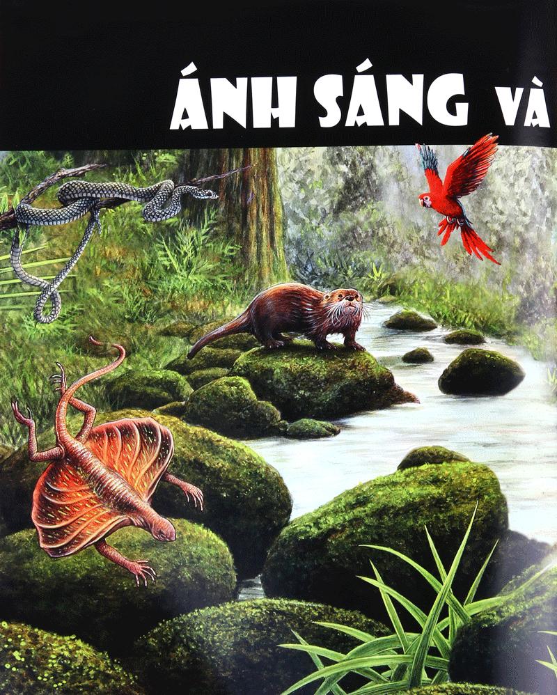 Tủ Sách Thế Giới Động Vật - Giác Quan Và Giao Tiếp (Hình Minh Họa 3D)