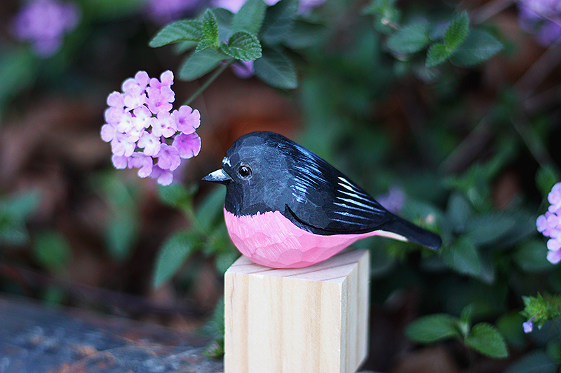 Tượng Chim Gỗ Pink Robin