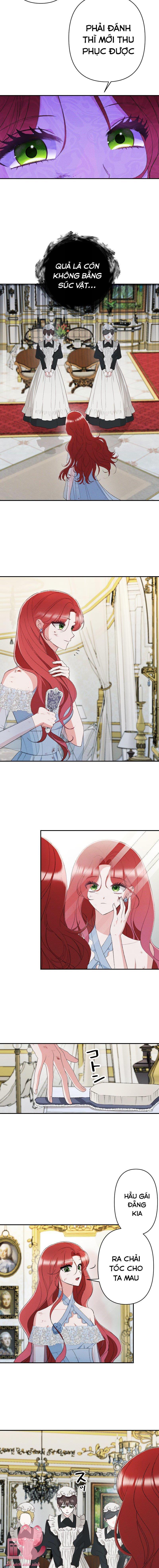 anh muốn em phải tuyệt vọng chapter 19 10