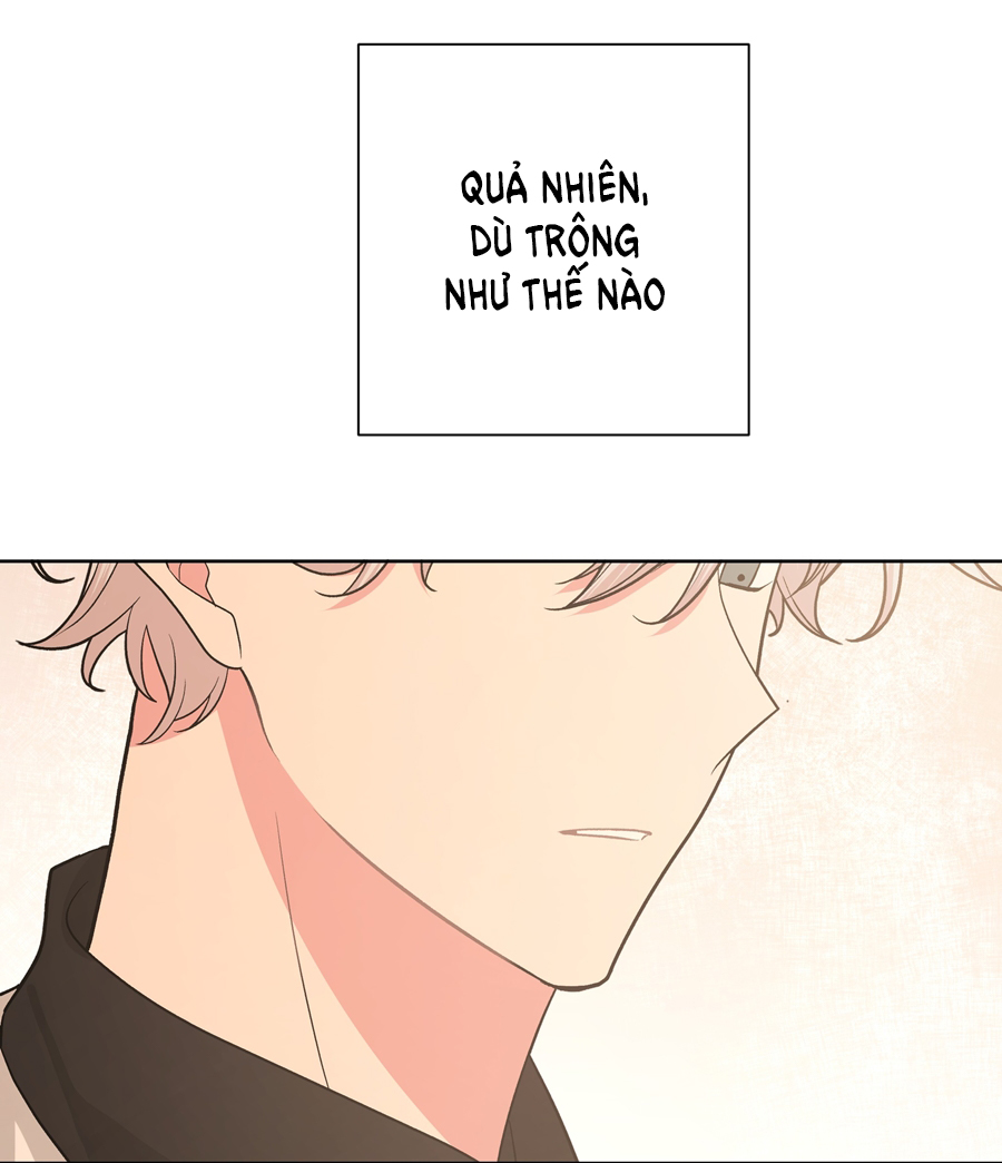 Don't Say You Love Me - Đừng Nói Yêu Tôi chapter 40