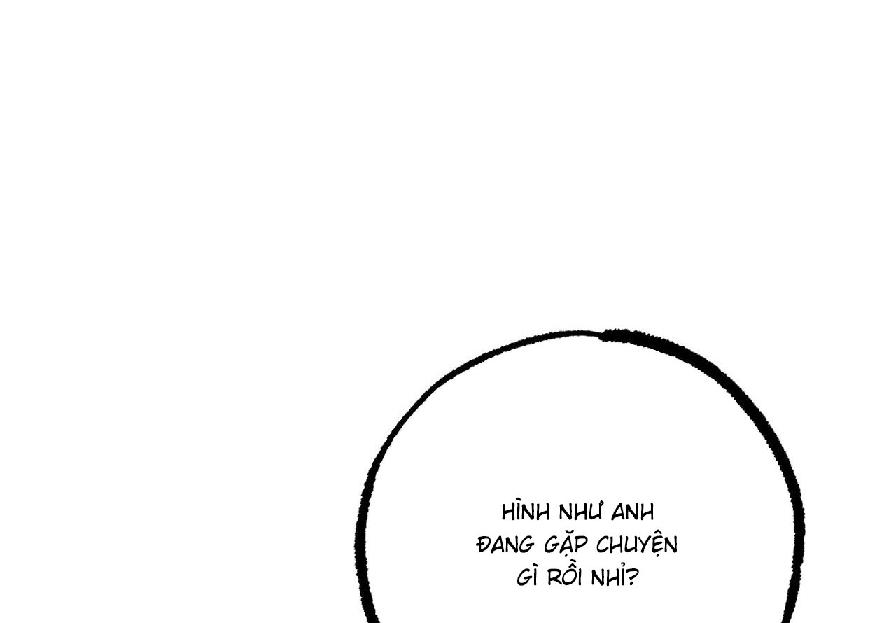 những chú thỏ của hapypy chapter 59 8