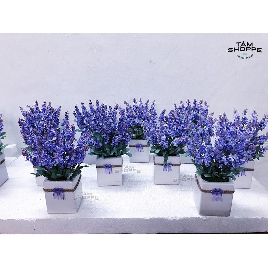 Chậu hoa Lavender gốm vuông No.53