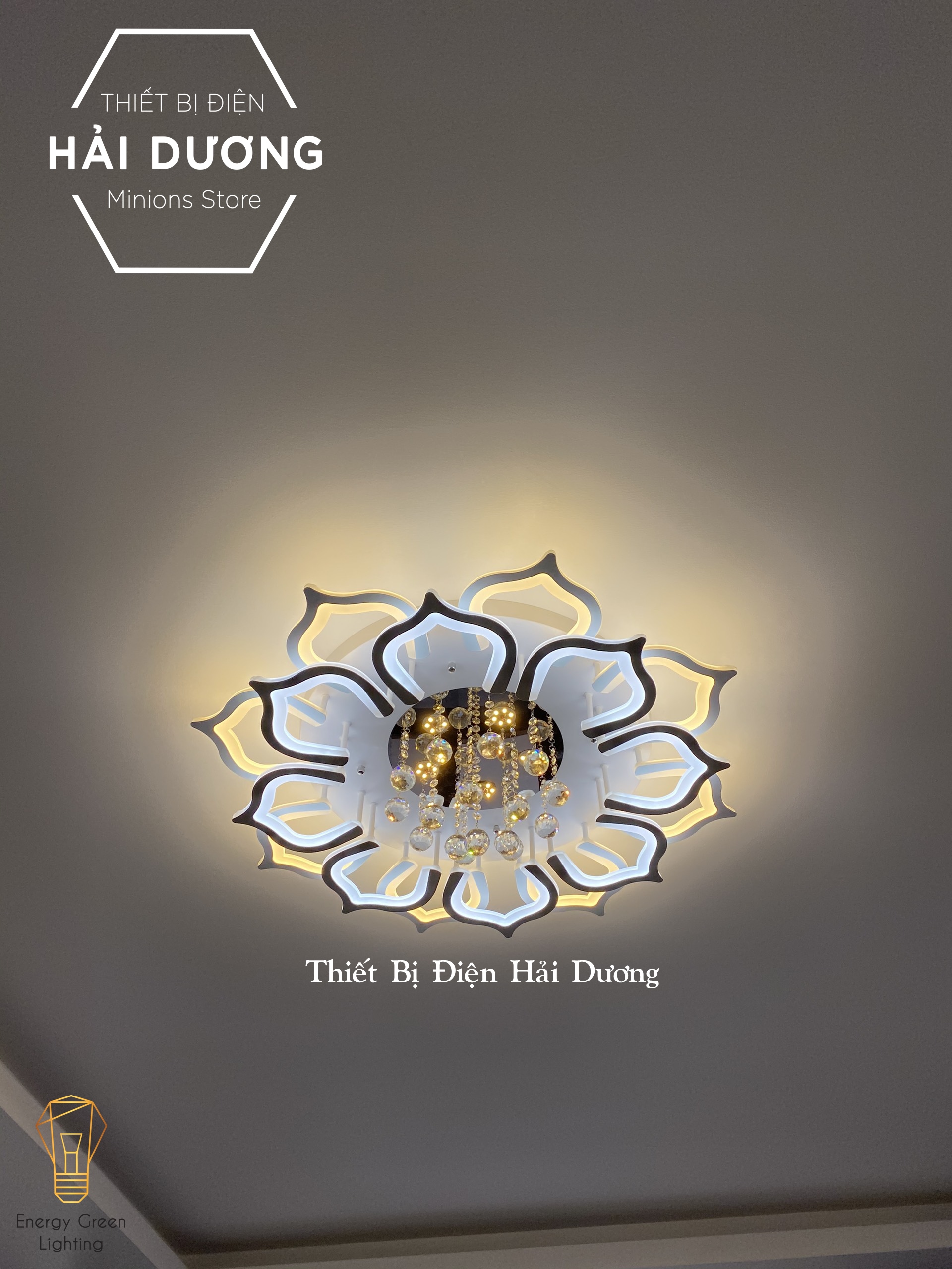 Đèn LED ốp trần hình hoa sen pha lê lấp lánh 16 cánh NT-033 - 3 Chế độ ánh sáng - Có điều khiển từ xa - Có Video