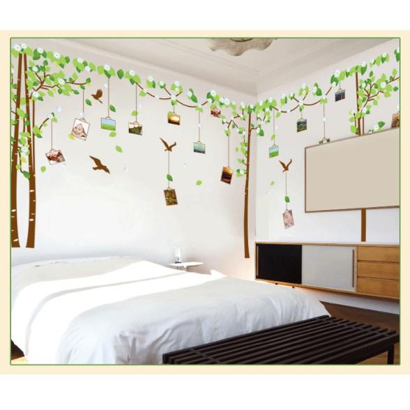 Decal trang trí tường - Cây PHOTO hoa lá 02