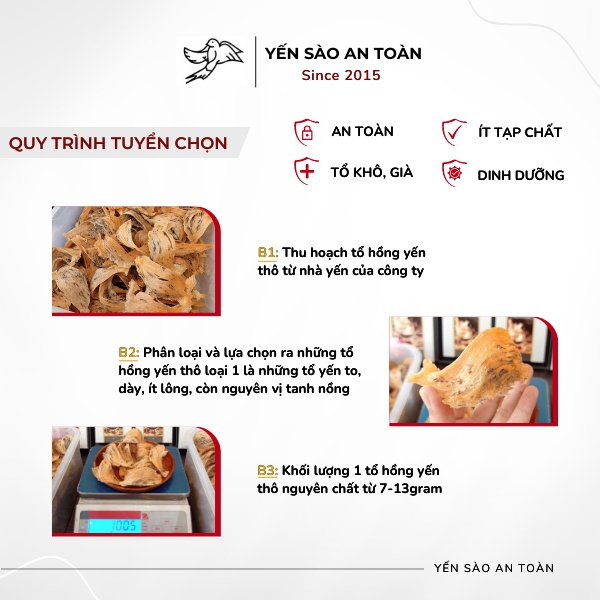 Hồng Yến thô còn lông thượng hạng nguyên chất từ tổ yến Khánh Hòa Yến Sào An Toàn