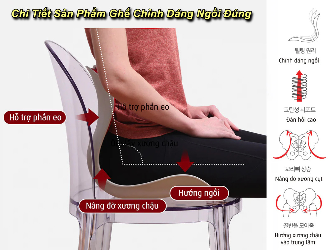 Ghế Chỉnh Dáng Ngồi Đúng - Correct Posture Chair Phiên Bản Mới - Home and Garden