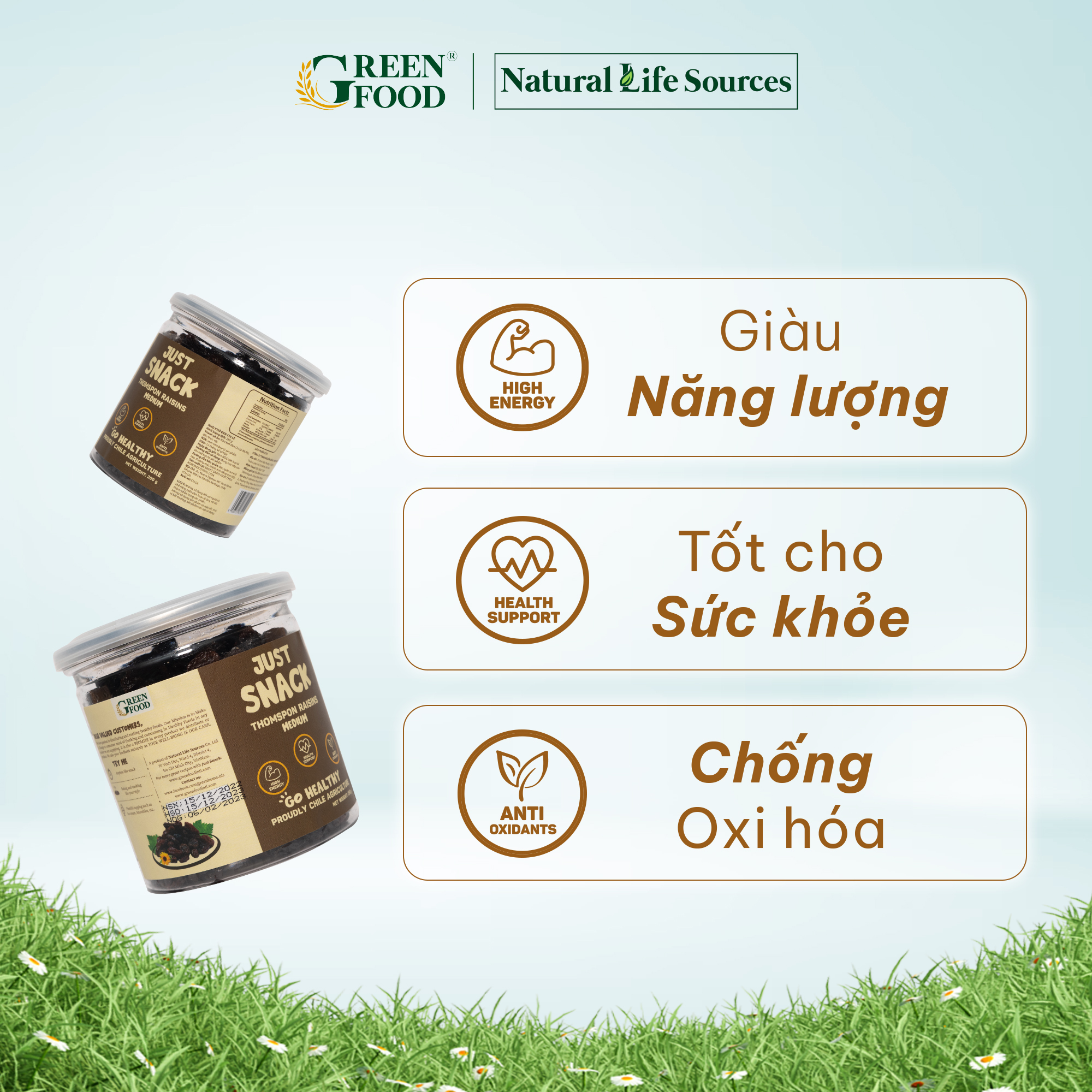 Nho khô đen Chile Just Snack | Hộp 250g