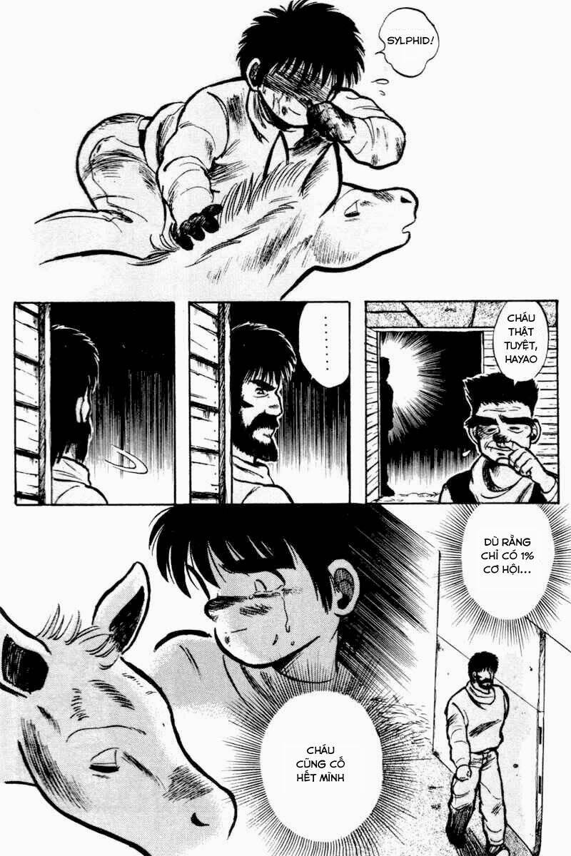 kaze no sylphid - phong mã silphid chapter 2 21