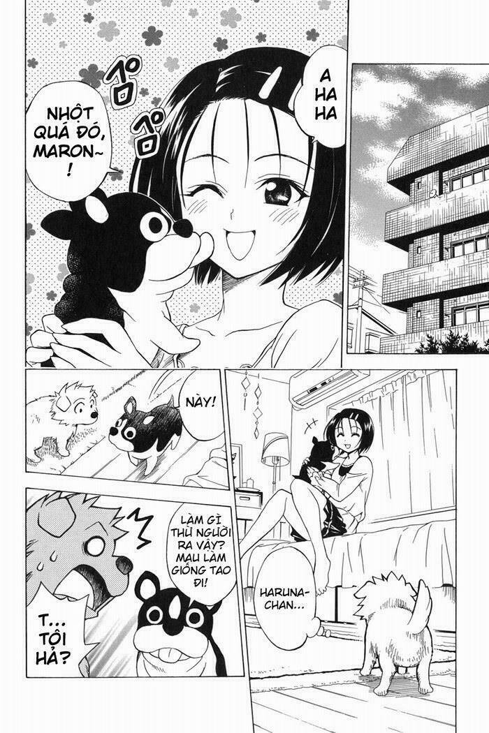 bọn tớ thích cậu! rito chapter 44 14