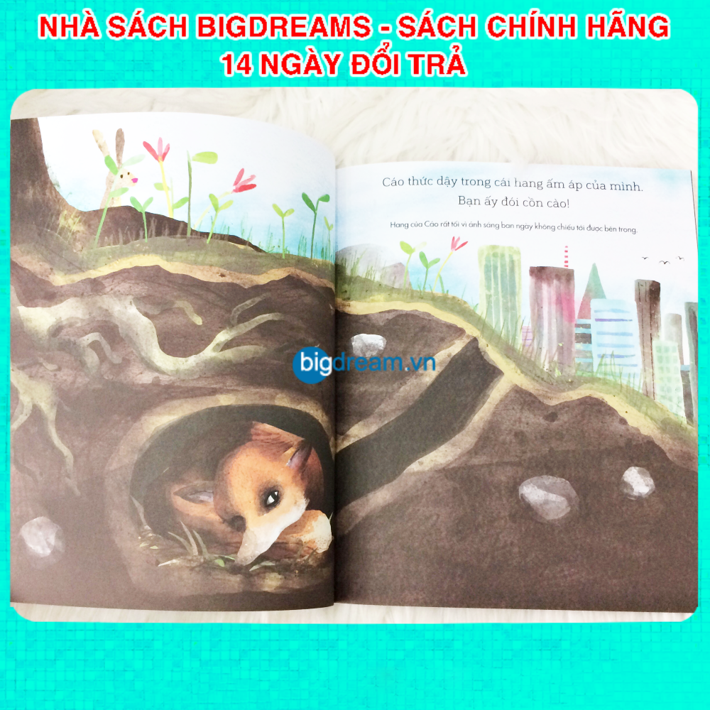 Câu chuyện khoa học A Science Storybook Bộ 4 quyển Truyện kể cho bé trước giờ đi ngủ phát triển tư duy