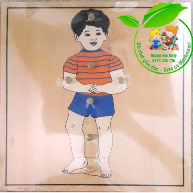 Tranh ghép sinh học Montessori - Bé trai