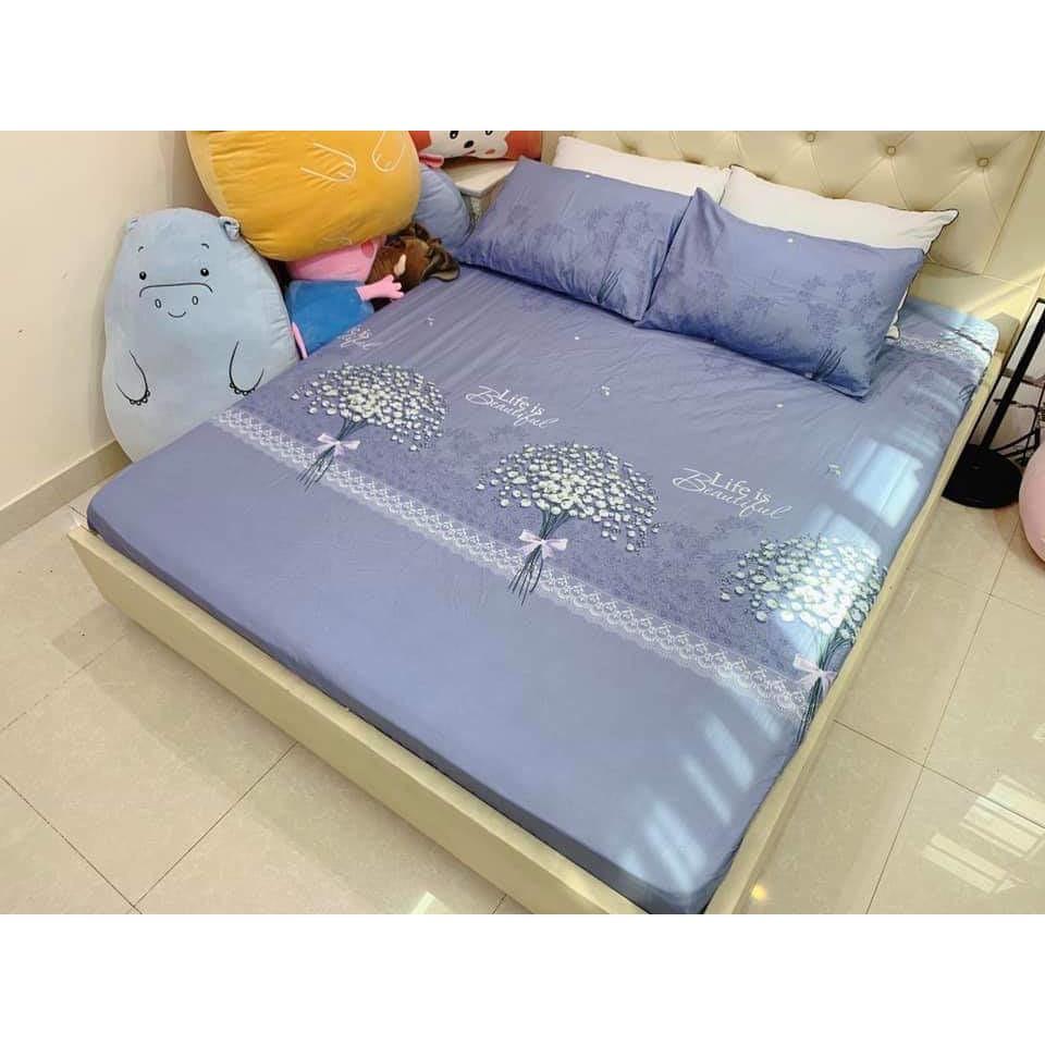 Bộ Ga Gối Poly Cotton hoa baby loại đẹp bo chun đủ kích thước + vỏ gối ôm, chất mềm, không phai, không xù lông.