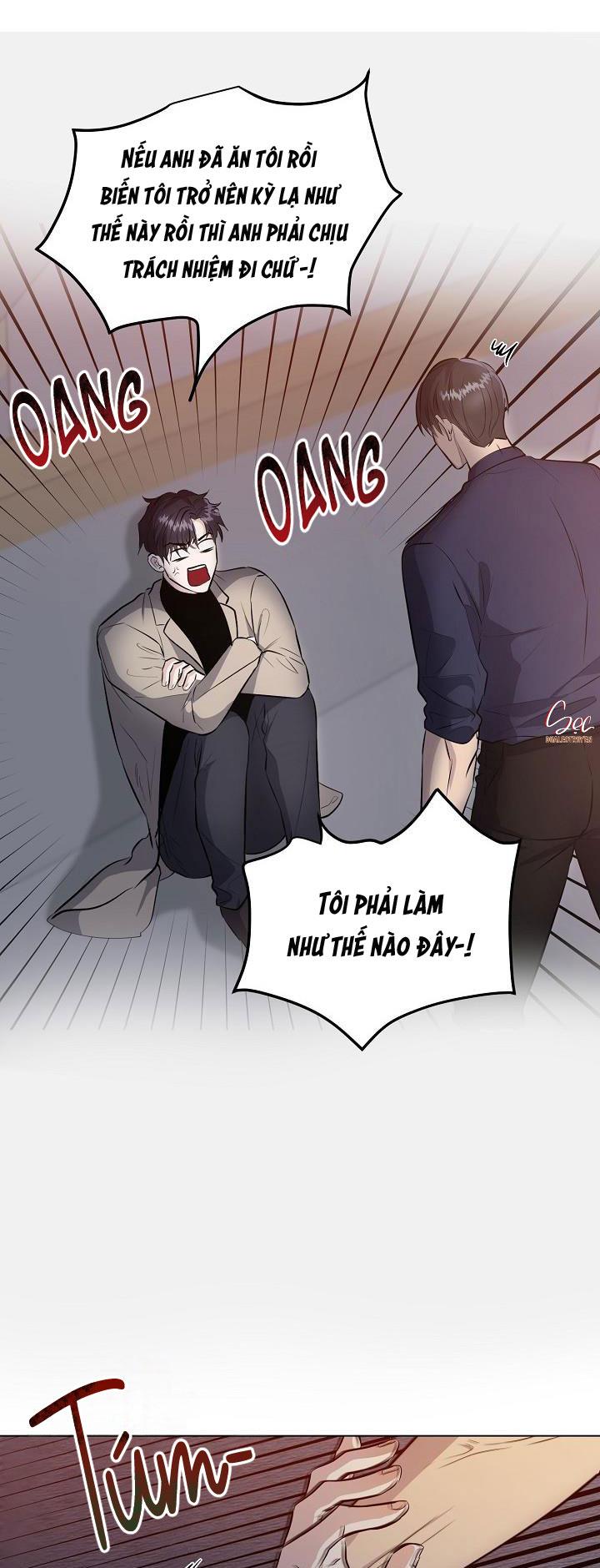 cái bóng sau song cửa sắt chapter 12 23