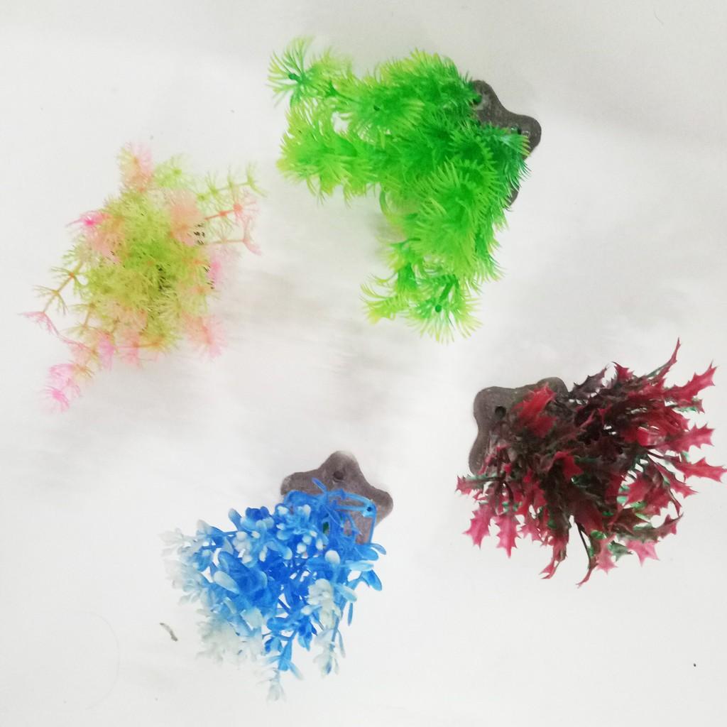 Bộ 4 Cây Trang Trí Bể Cá Size Nhỏ - Đồ Trang Trí Hồ Cá