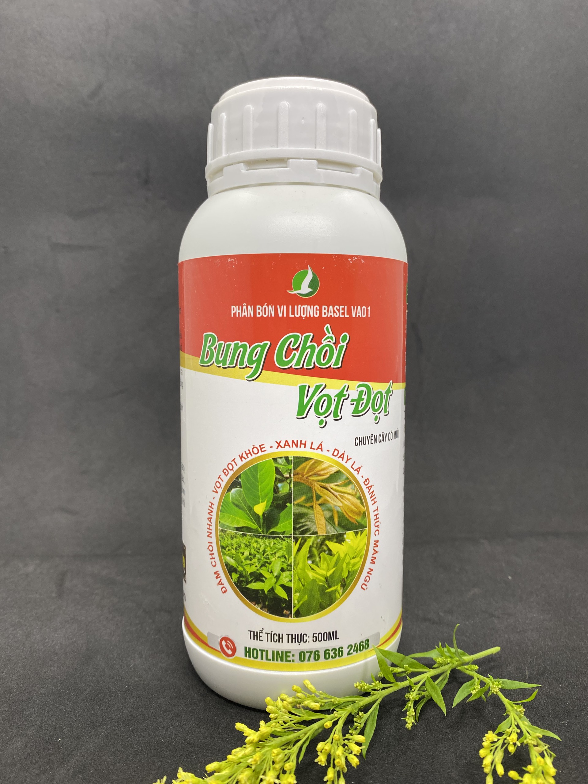 BUNG CHỒI VỌT ĐỌT - CHUYÊN KÍCH RỄ, ĐỌT CÁC LOẠI CÂY TRỒNG