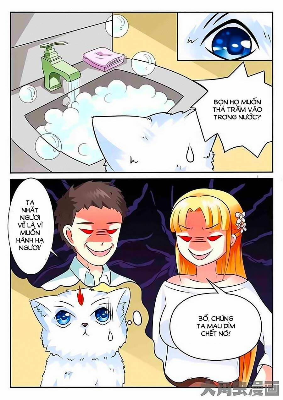 mau lấy con mèo đó ra chapter 3 10